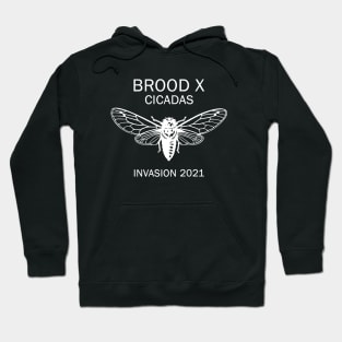 Cicada Brood X 2021 Hoodie